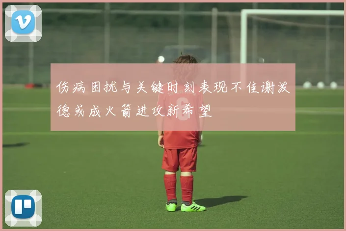 伤病困扰与关键时刻表现不佳谢泼德或成火箭进攻新希望