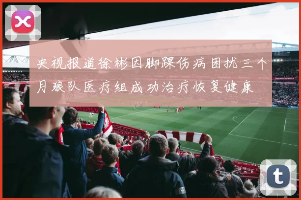 央视报道徐彬因脚踝伤病困扰三个月狼队医疗组成功治疗恢复健康