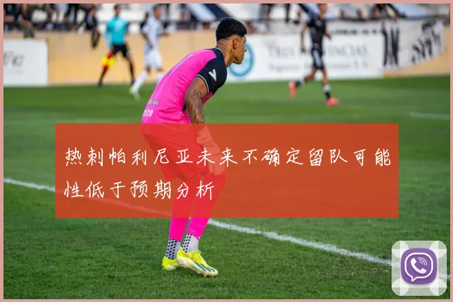 热刺帕利尼亚未来不确定留队可能性低于预期分析