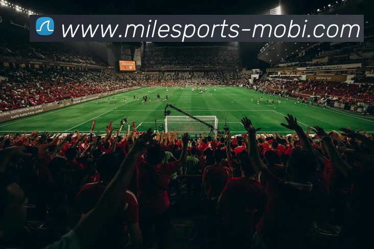 米乐体育APP 封面图